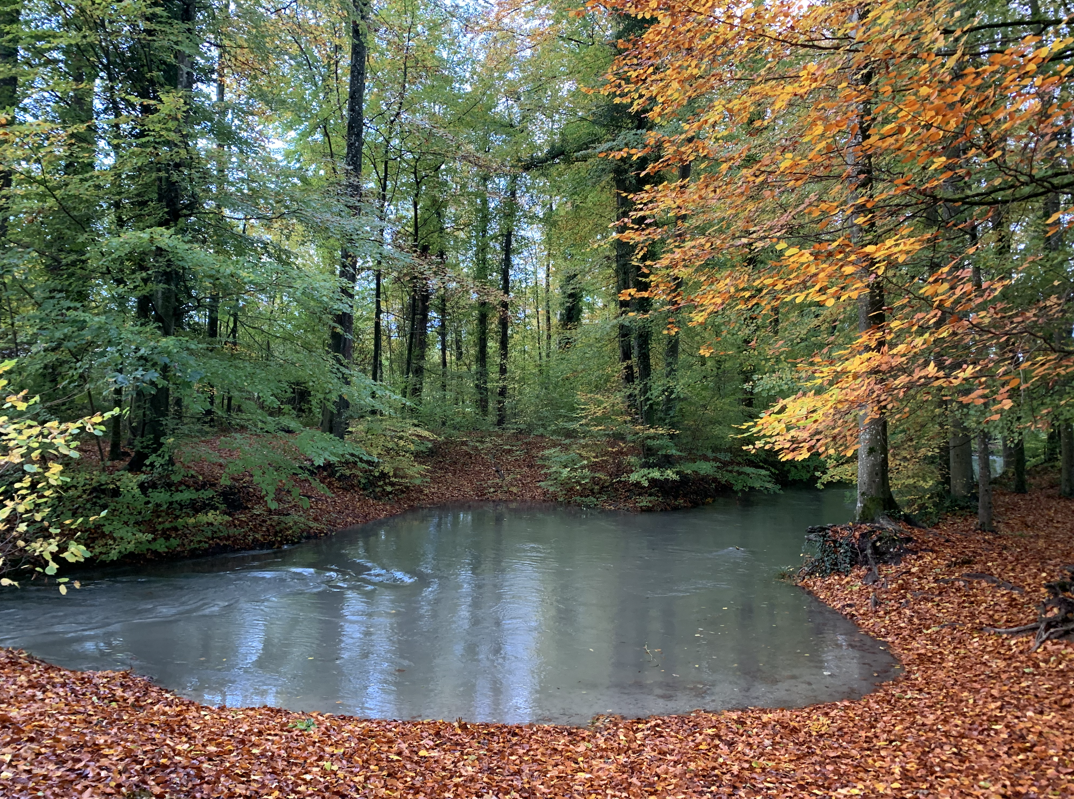 «Belebendes Gehen – täglich am Morgen»