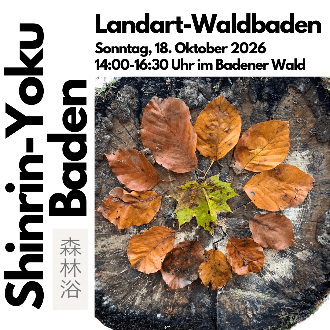 Landart-Waldbaden (Shinrin-Yoku Gesundheitstraining)