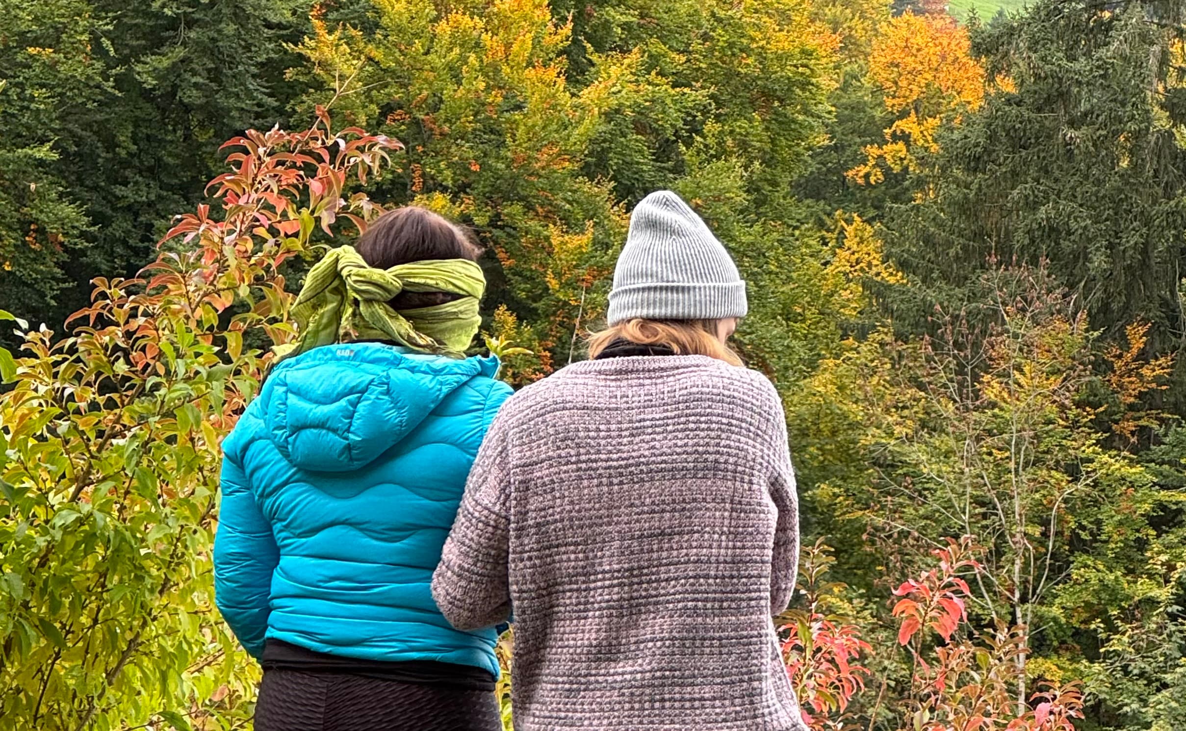 WALDWÄRTS Verbunden mit dir und der Natur