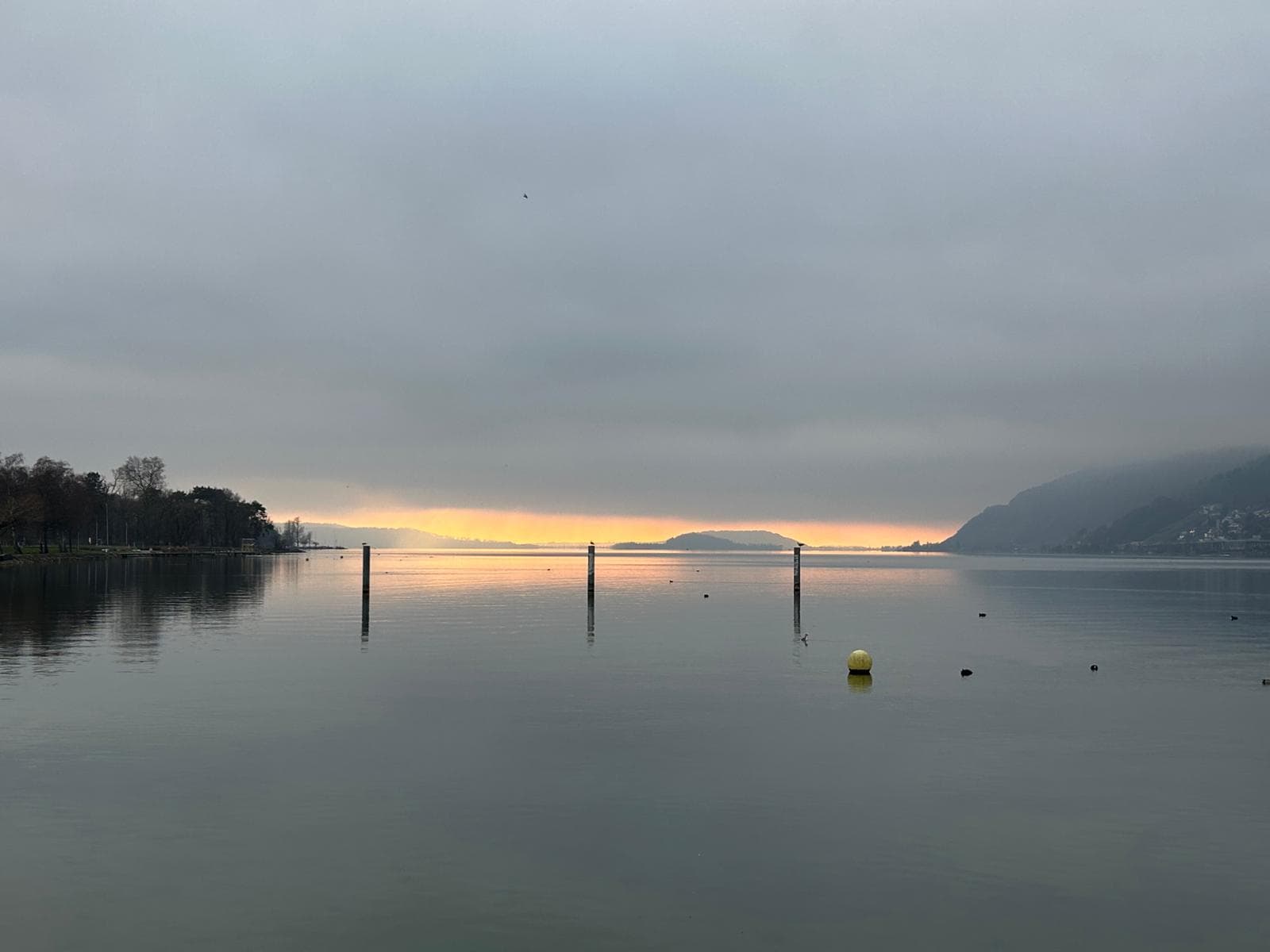 Eintauchen & Innehalten: Achtsames Kaltwasserbaden im Bielersee / Bain froid en pleine conscience : S'arrêter dans le lac de Bienne